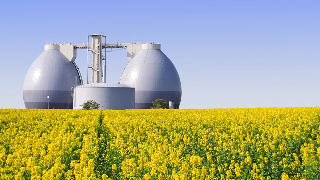 Produkcia bioplynu: Trojnásobné zužitkovanie hnoja
